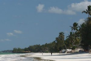 zanzibar the white sand zanzibar the white sand